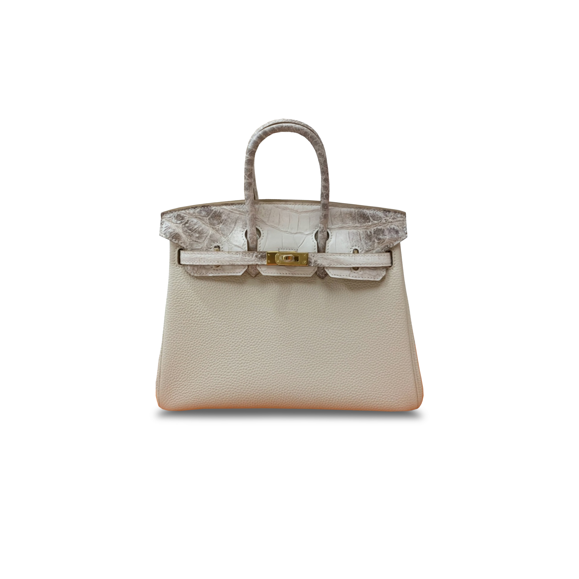 HERMÈS MASTER  BIRKIN 30 HIMALAYAN LEATHER AND TOGO MILKSHAKE WHITE GOLD BUCKLE H076235CKV6 (30*22*16cm)